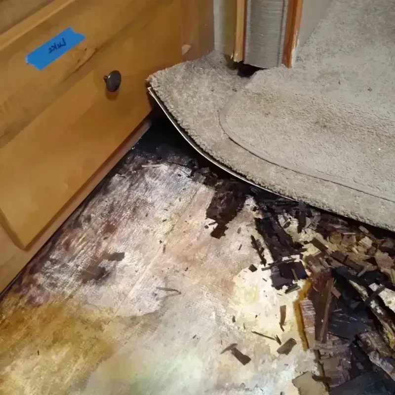 Wood Floor Water Damage in Pumphrey, MD